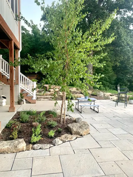 A paver patio with a young tree, a planting bed and large stone steps leading up to a deck
